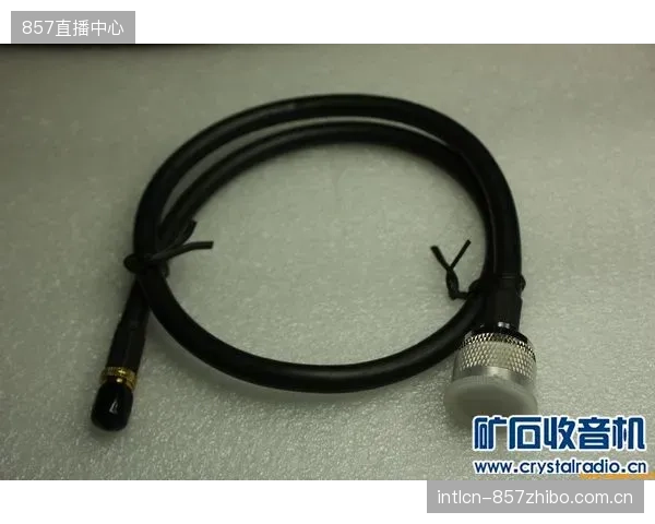 射频跳线供应商将不再仅销售产品，而是转向提供包含PIM勘测、定制化注塑、现场认证在内的整体解决方案
